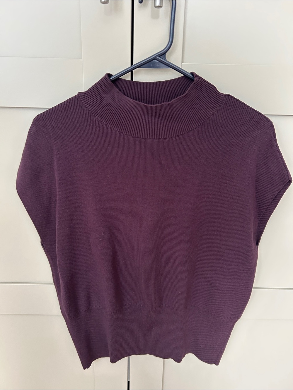 Sleeveless Mock Neck Sweater - Deep Plum